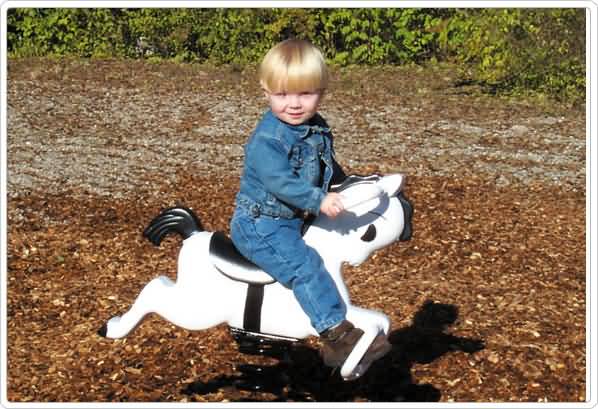 image of Mustang Spring Rider